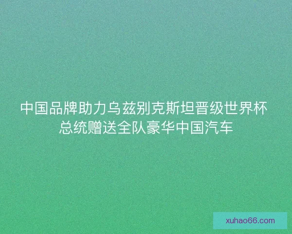 中国品牌助力乌兹别克斯坦晋级世界杯 总统赠送全队豪华中国汽车