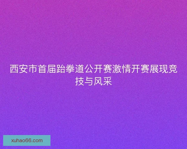 西安市首届跆拳道公开赛激情开赛展现竞技与风采 西安市首届跆拳道公开赛激情开赛展现竞技与风采