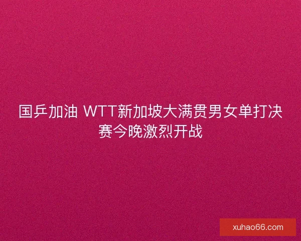 国乒加油 WTT新加坡大满贯男女单打决赛今晚激烈开战